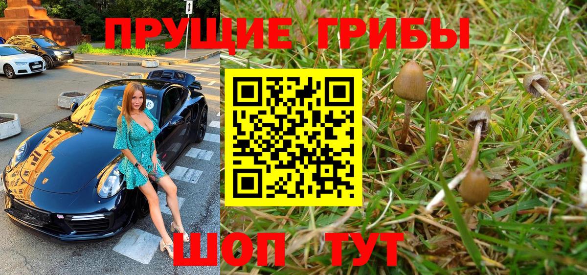 Белая Калитва  Галлюциногенные грибы Magic Shrooms  где купить наркоту  Вход с VPN 