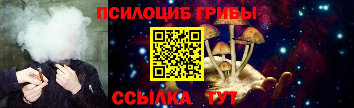 Галлюциногенные грибы Cubensis Белая Калитва